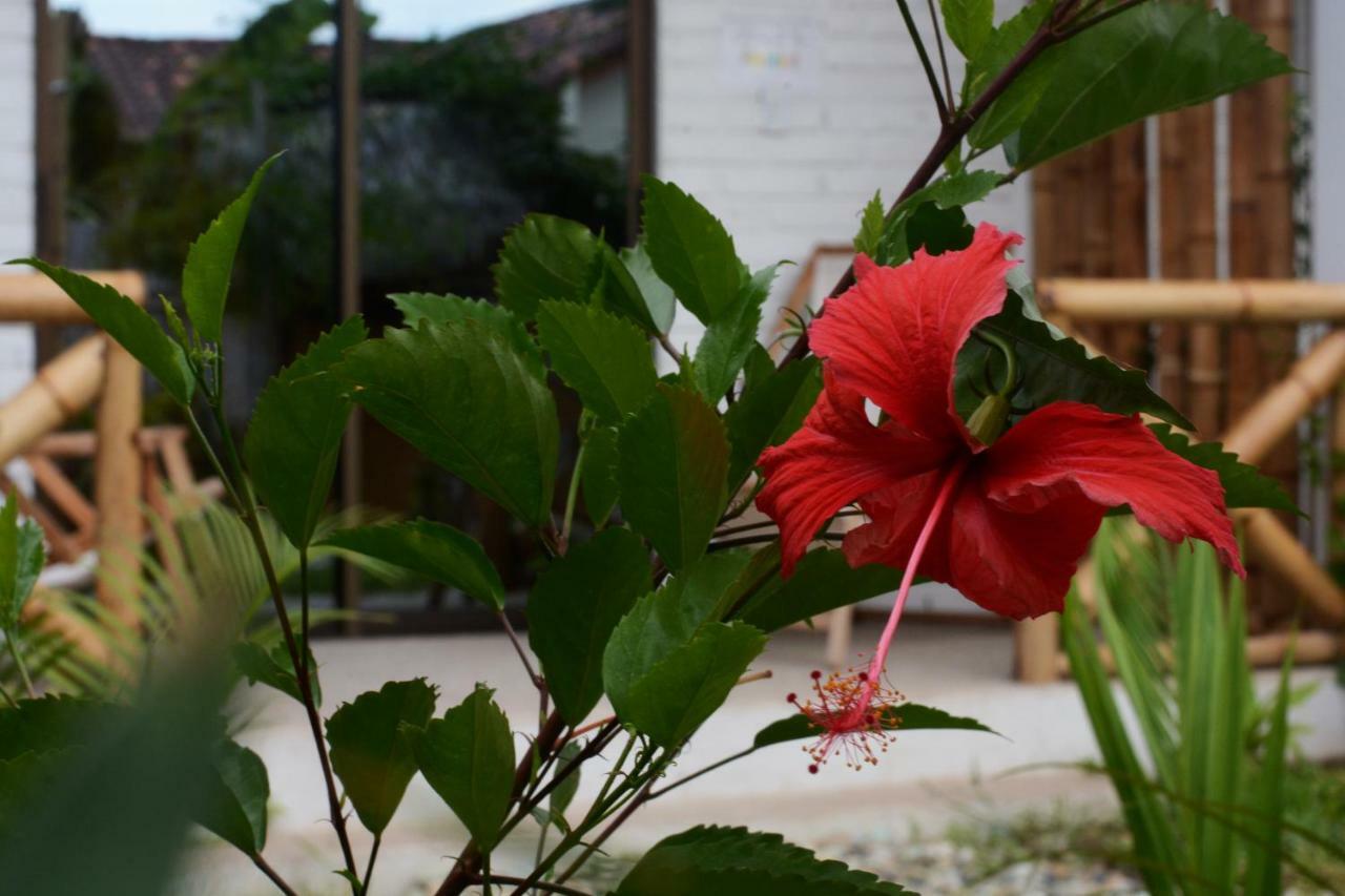 Casita Madame Hotel Puerto López Eksteriør billede